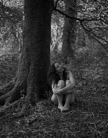 DSC_3160 (2)